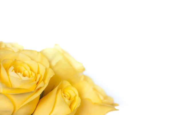 黄色のバラの花束 ストック写真