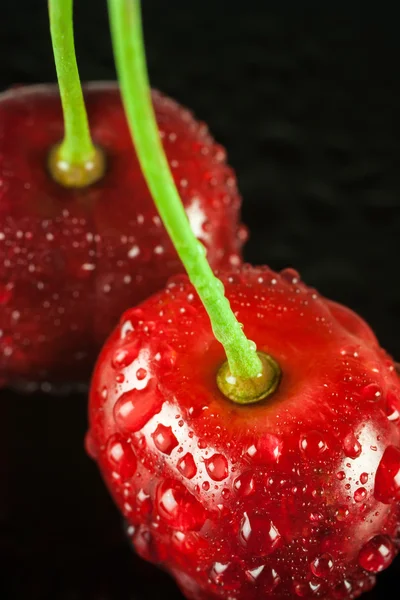 Cerezas con rocío — Foto de Stock