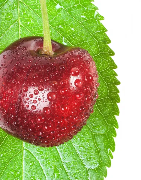 Cherry — Stock Photo, Image