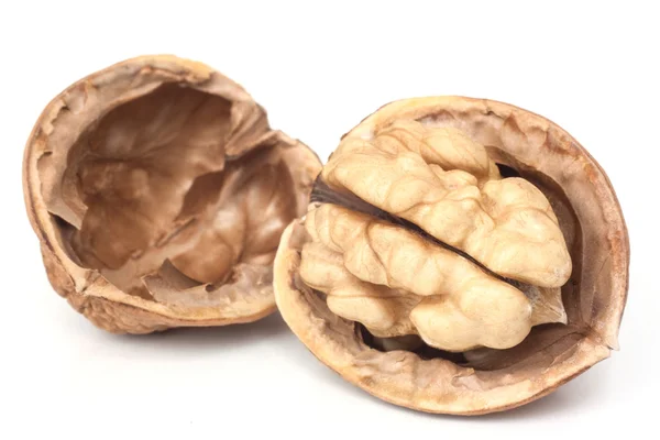 Walnut — Stock Photo, Image