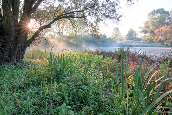 Autumn — Stock Photo, Image