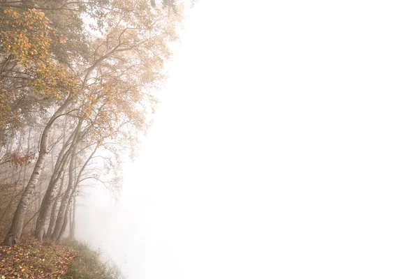 Nevoeiro de outono — Fotografia de Stock
