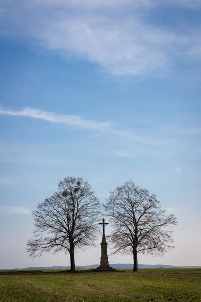 Trees and cross — Stock Photo, Image