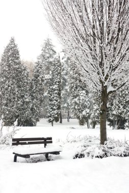 Kış park