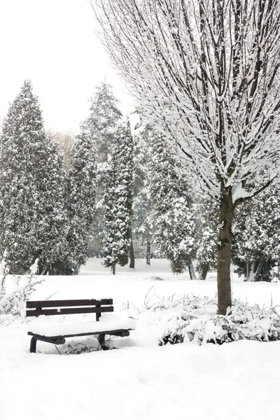 Parco invernale — Foto Stock