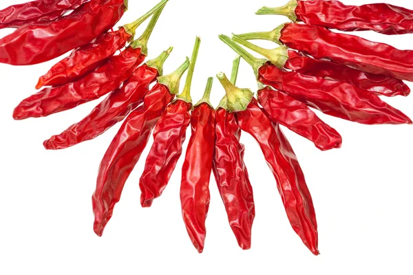 Torkad chili — Stockfoto