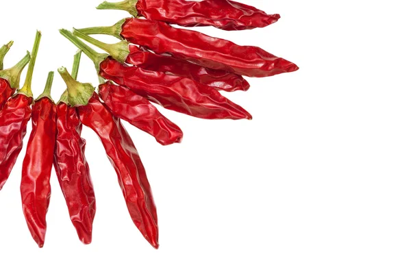 Sušené chilli — Stock fotografie