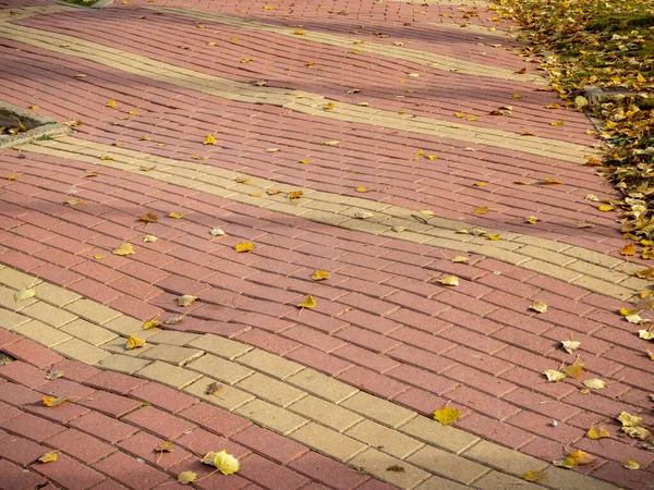 Gelişme ve dikkatsizlikten zarar gören çam ağacının etrafına tuğlalar örülmüş.