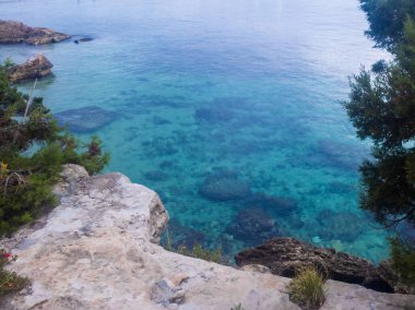 Tropikal bir okyanus kıyısında şeffaf su. Yaz tatilleri konsepti