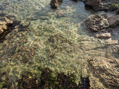 Tropikal bir okyanus kıyısında şeffaf su. Yaz tatilleri konsepti