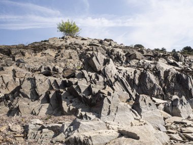 Yalnız ağaç üstünde tepe-in rock büyüyen