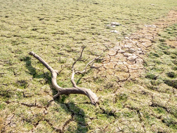 Cambio climático imagen de un embalse con una rama de árbol seco. Concepto de sequía — Foto de Stock