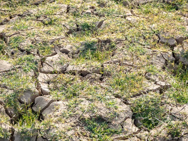 Tierra seca en un embalse seco debido al calentamiento global — Foto de Stock