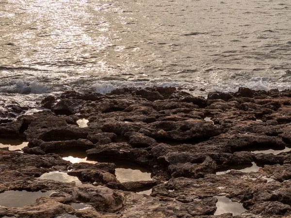 地中海のイビサのビーチの透明水 — ストック写真