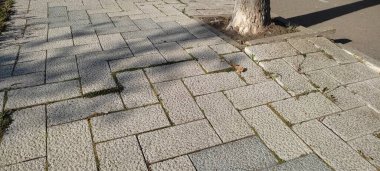 Bir kaldırım fotoğrafı, düz olmayan bir yolda kırmızı renkli yapay bir taş..