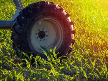 Sürdürülebilir bir çiftliği sulayan bir merkez pivot fıskiyesi.