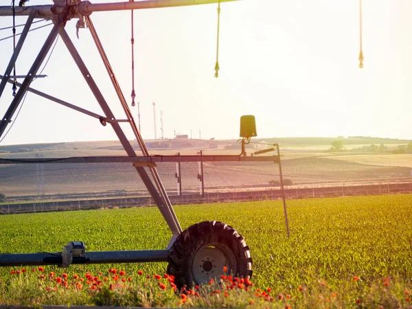 Sürdürülebilir bir çiftliği sulayan bir merkez pivot fıskiyesi.