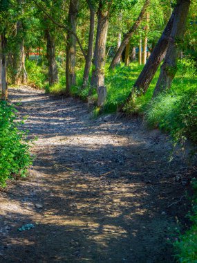 İklim değişikliğinin su üzerindeki etkilerinin bir görüntüsü. İklim değişikliği kavramı.