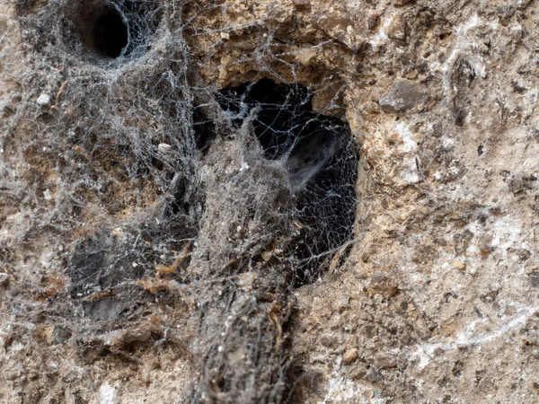 Павутинна Павутина Покинутій Будівлі Європі Зображення — стокове фото