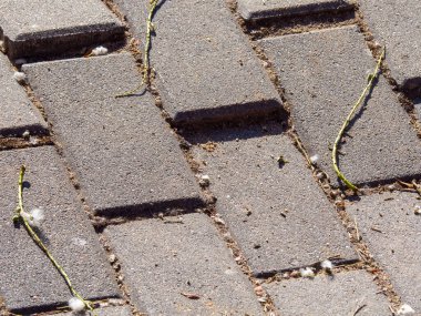 İnsanlar tarafından kullanılan kaldırımdaki çukurlar. HD resim