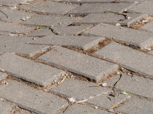 Potholes Sidewalk Used People Image — Stock Photo, Image