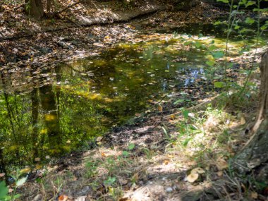 spring water contaminated by chemicals. Pollution concept hd image