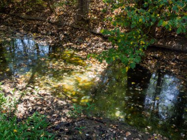 spring water contaminated by chemicals. Pollution concept hd image