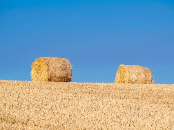 Haystacks Golden Wheat Autumn Sunny Day Clean Sky Image — Stockfoto