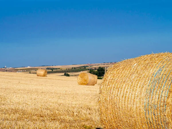 Haystacks Golden Wheat Autumn Sunny Day Clean Sky High Quality — Stockfoto