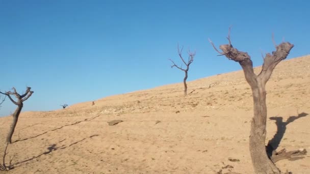 Video Empty Reservoir Due Drought Concept Climate Change Fullhd Footage — Videoclip de stoc