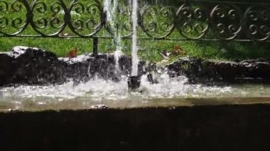 water running in a fountain in summer. Concept of climate change. High quality FullHD footage