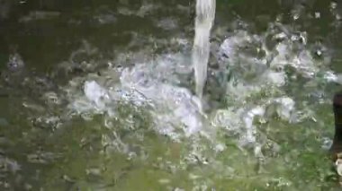 water running in a fountain in summer. Concept of climate change. High quality FullHD footage