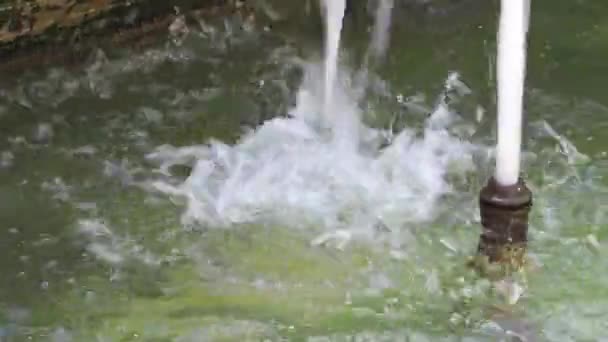 Water Running Fountain Summer Concept Climate Change High Quality Fullhd — Stock Video