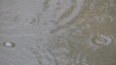 raindrops in a puddle making bubbles. Autumn concept. High quality FullHD footage