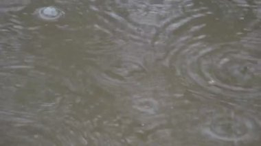 raindrops in a puddle making bubbles. Autumn concept. High quality FullHD footage