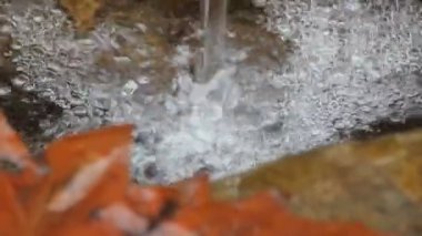 natural water source on an autumn mountain. Autumn concept. High quality FullHD footage