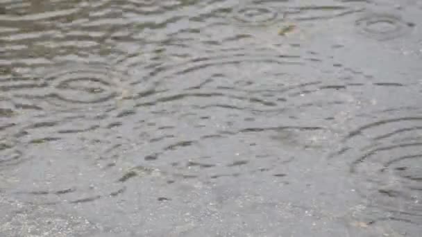 Raindrops Puddle Making Bubbles Autumn Concept High Quality Fullhd Footage — Vídeo de stock