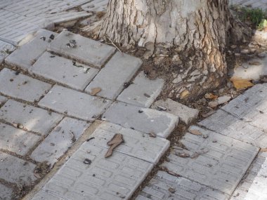 düz kaldırım fayansları. Çukurlar, güvensizlik ve risk, HD görüntü