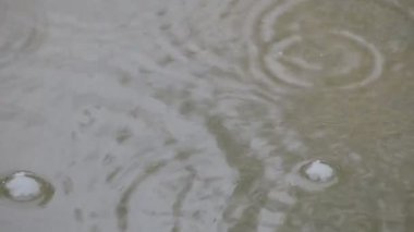 raindrops in a puddle making bubbles. Autumn concept. High quality FullHD footage