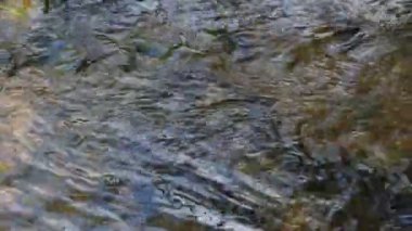 Dağlardan akan bir pınar... Ekoloji konsepti HD görüntüler