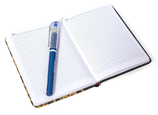 Notebook s modrým perem — Stock fotografie
