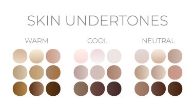 Skin Undertones Color Swatches Gradients clipart
