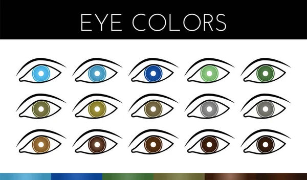 Eyes Vectors Eye Color Swatches — Stock Vector