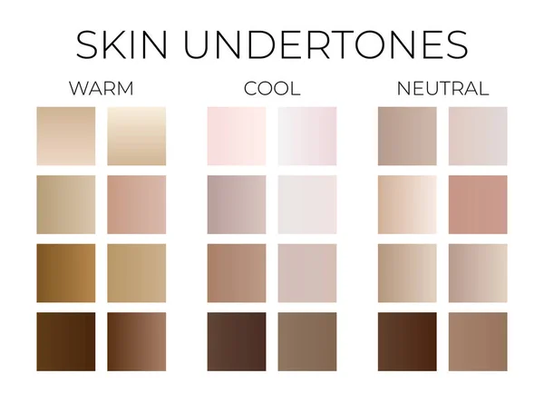 Gradient Skin Undertone Color Swatches Warm Cool Neutral Colors — Stock Vector
