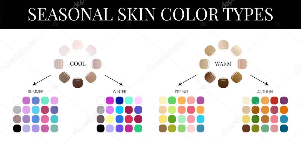 Seasonal Skin Color Analysis Palette with Color Swatches