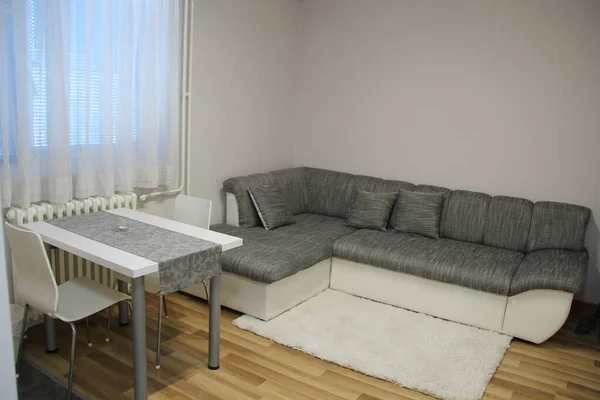 Small Apartment Interior Living room with Couch and Table