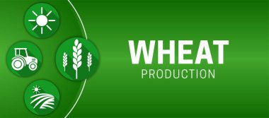 Yeşil Buğday Üretim Çizimi Arkaplanı