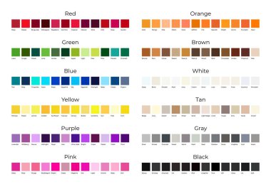 Beyaz Arkaplanda İzole Edilmiş Her Renk Paleti için Renk Gölgeleri