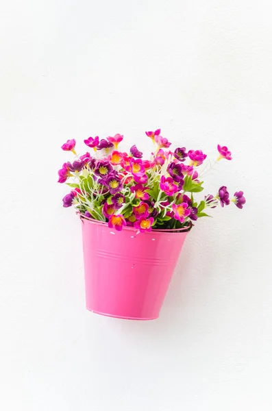 Nep bloem — Stockfoto
