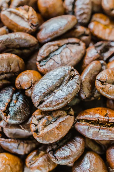 Close up coffee beans — Stock Photo, Image